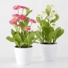 2-delige Set: Decoratieve Planten "Belli" Roze/wit - (H)30 X Ø 9 Cm