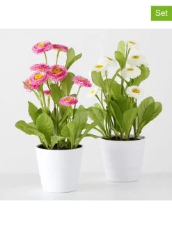 2-delige Set: Decoratieve Planten "Belli" Roze/wit - (H)30 X Ø 9 Cm