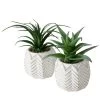 2-delige Set: Kunstplanten "Aloe" Groen - (H)14 Cm