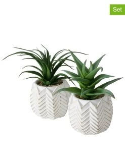 2-delige Set: Kunstplanten "Aloe" Groen - (H)14 Cm