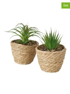 2-delige Set: Kunstplanten "Aloe" Groen - (H)20 X Ø 13 Cm