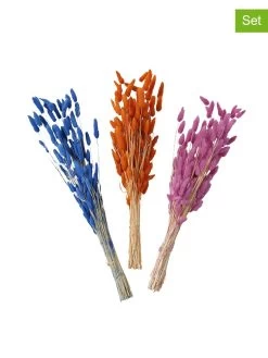 3-delige Set: Decoratieve Takken "Samtgras" Blauw/oranje/lichtroze - (H)60 Cm