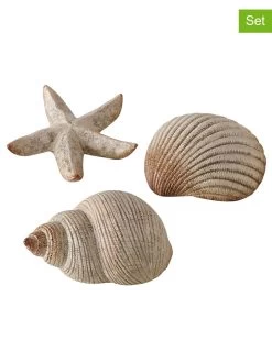 3-delige Set: Schelpen "Bigo" Beige - (B)10 X (H)5 X (D)6 Cm