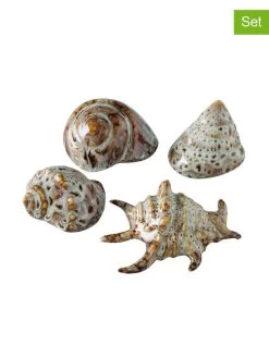 4-delge Set: Schelpen Crème/bruin - (H)4 Cm