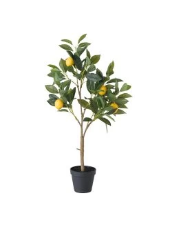Kunstplant "Citroenboompje" Groen - (B)30 X (H)73 X (D)20 Cm
